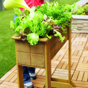 Enjoy easy access to fresh greens with this easy-to-build raised planter box.